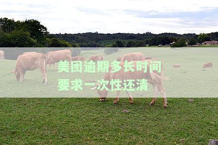 美团逾期多长时间要求一次性还清？逾期后还清多久能恢复使用？