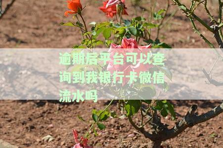 逾期后平台可以查询到我银行卡微信流水吗安全吗，逾期后，平台是否能查到我的银行卡和微信流水？安全性如何？