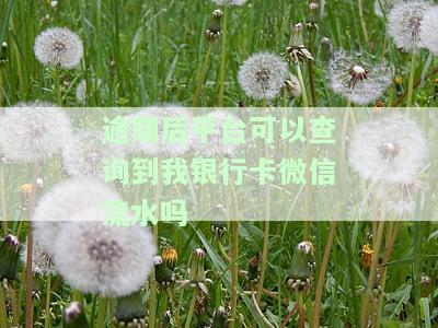 网贷逾期能否查银行卡流水？银行是否会介入？