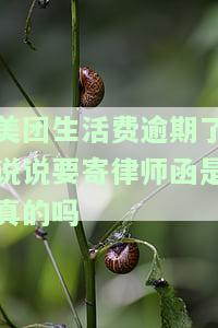 美团生活费逾期会寄律师函吗？真的会寄到户地吗？