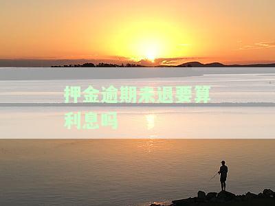 押金逾期未退要算利息吗？解决方案大揭秘！