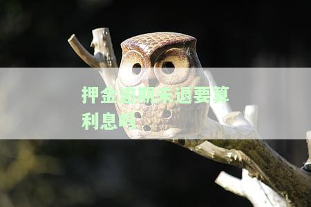 押金逾期未还：后果、处理方式及法律追诉