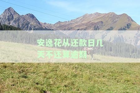 安逸花从还款日几天不还算逾期