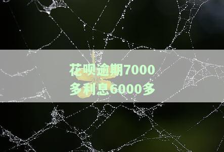 花呗逾期9000利息多少，计算花呗逾期9000的利息，你需要知道这些关键信息