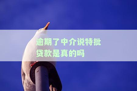 贷款中介说特批利息高吗，揭秘贷款中介：特批利息是否真的高？