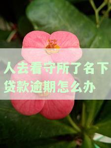 人在看守所贷款还不上？如何解决在监禁期间的还款问题？