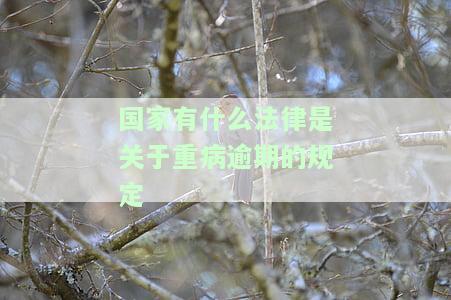 国家有关重病逾期的法律规定是什么？