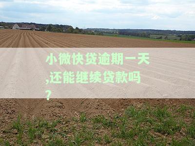 小微快贷逾期一天，能否继续贷款？影响及解决方法