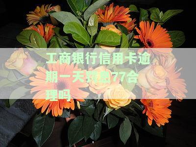工商银行信用卡1万逾期多久会被起诉？答案在这里！