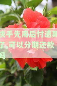 快手先用后付逾期后能分期还款吗？操作步骤及注意事