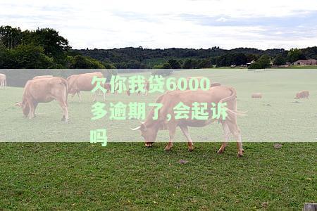 欠你我贷6000多逾期了，会起诉吗？真被威胁走法律程序？