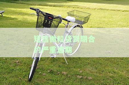 短信微粒贷到期合约严重逾期解决方案：如何处理逾期短信通知？