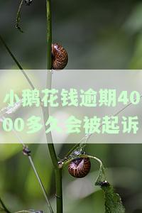 小鹅花钱逾期会起诉吗？逾期多久会影响征信、是否会坐牢、会有暴力催收吗？