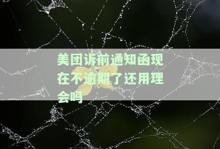 美团诉前通知函现在不逾期了还用理会吗-美团诉前通知涵