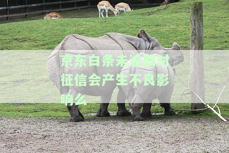 没有逾期是否会影响个人征信？答案在这里！