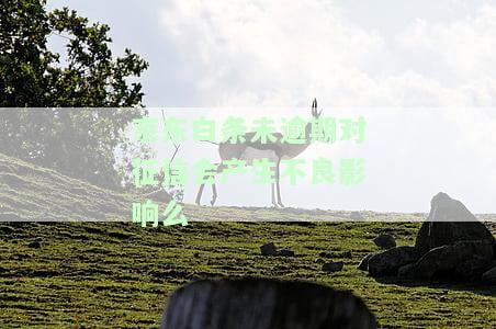 未按时还款，会对征信产生何种影响？