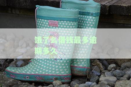 饿了吗借款逾期俩天会上征信吗，关于饿了吗借款逾期两天是否会影响征信的问题解析