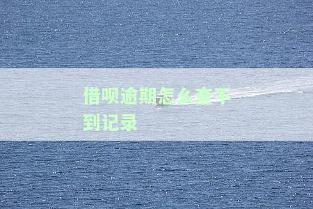 借呗逾期怎么查不到记录信息？入口、总欠款及催收均未找到