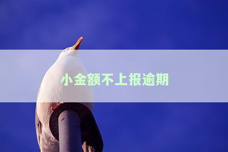 小金额逾期会上征信吗，小金额逾期是否会影响个人征信记录？