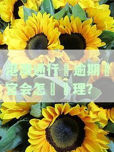 港澳通行证逾期怎么办？详细办理流程与后果解析