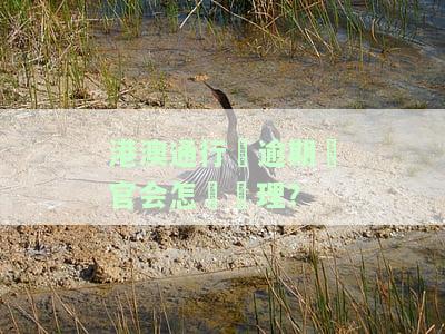 港澳通行证逾期两天出关会怎样？其他情况如何处理？