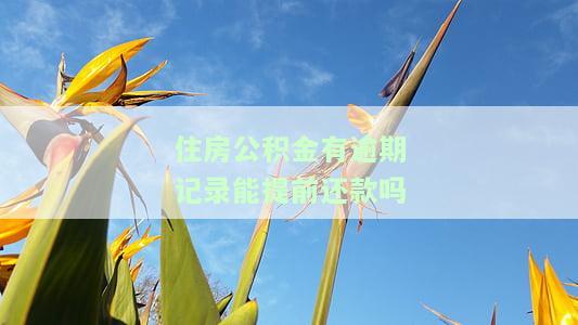 公积金有逾期能不能提取，公积金逾期后能否提取？你需要了解的关键信息