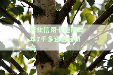 欠兴业信用卡六千块逾期三个月会上门吗，兴业信用卡逾期三个月，欠款六千块是否会有上门催收的风险？