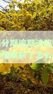 来分期逾期会冻结账户吗？影响其他账户吗？如何解冻？