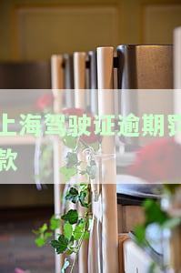 上海驾驶证罚款网上怎么交，如何在网上缴纳上海驾驶证的罚款？