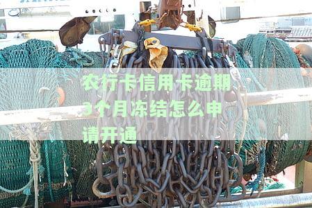 农行卡信用卡逾期3个月冻结怎么申请开通不了，如何解决农行卡信用卡逾期3个月被冻结的问题？