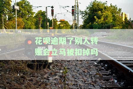 花呗逾期后，别人转账会立即被扣掉吗？安全性如何？
