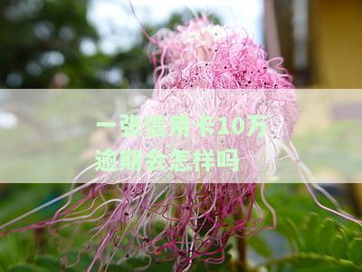 一张信用卡10万逾期会怎样吗，信用卡逾期10万元，会产生哪些后果？