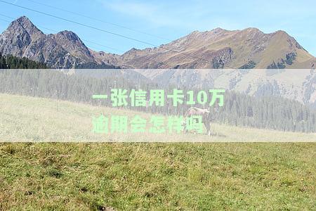 信用卡10万逾期一年要还多少，信用卡逾期一年未还款，需要偿还多少金额？