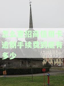 怎么查招商银行信用卡逾期本金，如何查询招商银行信用卡逾期本金？