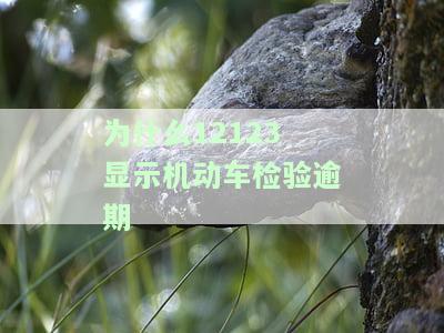 12123显示机动车检验逾期怎么办？正确处理步骤解析
