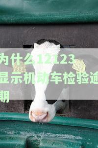 为什么12123显示机动车检验逾期