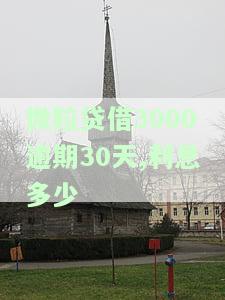 微粒贷逾期300块会产生什么后果？