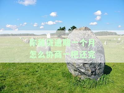 你我贷逾期30天后还了,结果要我一次性还完其他，遭遇网贷逾期30天后还款困扰：被告知需一次性还清所有欠款