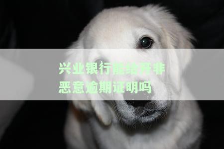 兴业银行能给开非恶意逾期证明吗-兴业银行能给开非恶意逾期证明吗安全吗