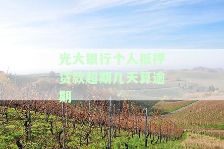 光大银行房屋抵押贷款还款期限几年，光大银行房屋抵押贷款：最长可贷几年？