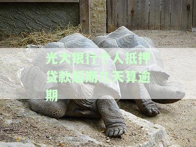 光大银行抵押贷款，轻松获取资金：光大银行抵押贷款全攻略