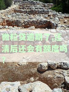 微粒贷逾期后结清能否再次借款？