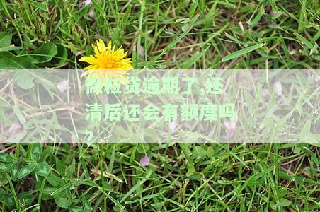微粒贷逾期后还清多久能恢复使用资格？逾期后还款会影响征信吗？
