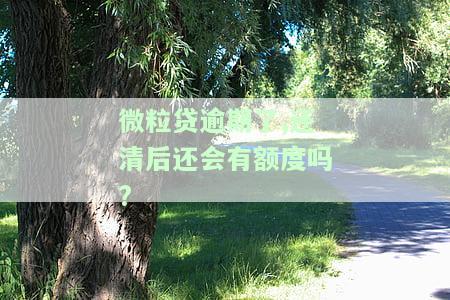 微粒贷逾期还完了是什么界面？能否继续借款及恢复使用资格