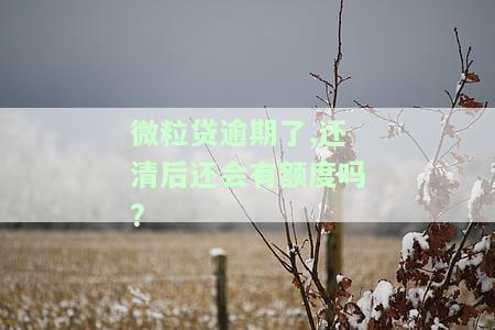 微粒贷逾期了,还清后还会有额度吗?-微粒贷逾期还完还能用吗