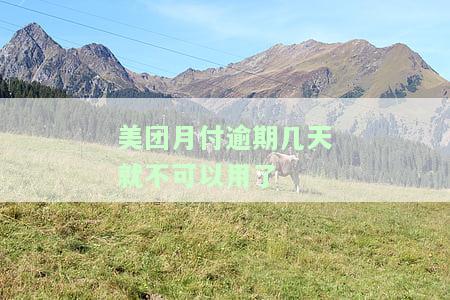 美团月付逾期多久无法使用？解决办法