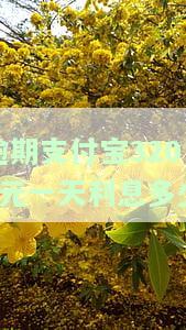 支付宝逾期3万多利息是不是滚到十几万，支付宝逾期3万多，利息真的会滚到十几万吗？