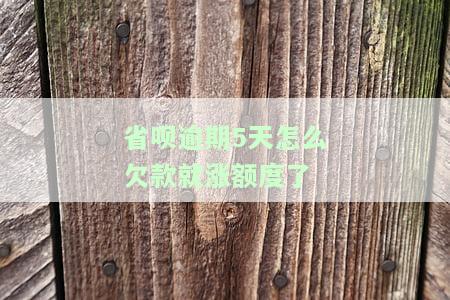 省呗逾期两天会怎么样，逾期两天使用省呗会产生什么后果？