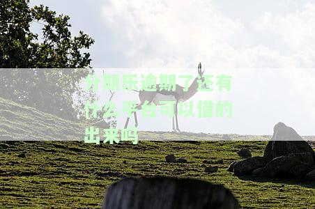 分期乐逾期后还可以借款吗？逾期影响贷款及分期还款可能性解析