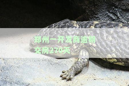 开发商逾期交房,业主如何应对？疫情、赔偿与房产证相关问题解析